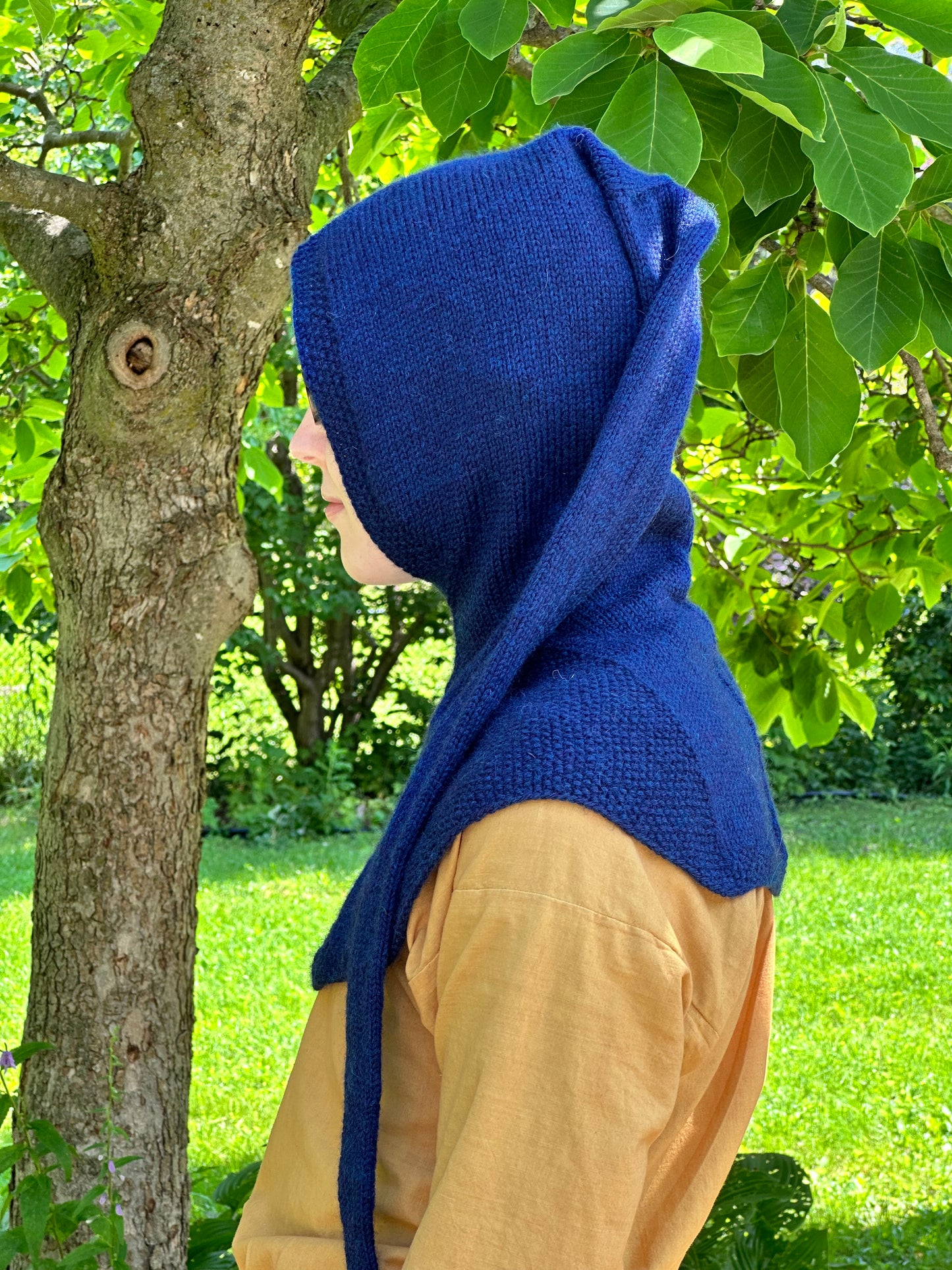 Medieval Hood